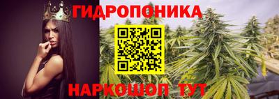 меф Лесосибирск