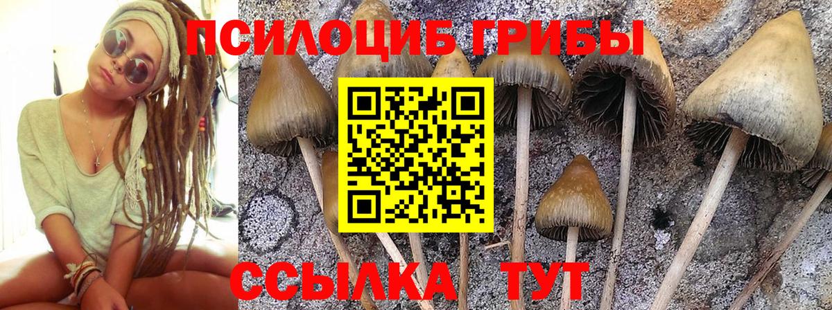 Галлюциногенные грибы GOLDEN TEACHER Чебаркуль