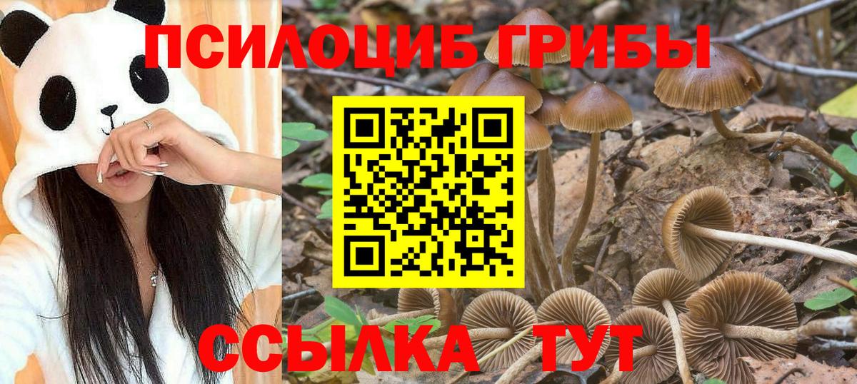 Чебаркуль  цены наркотик  Вход с VPN  Псилоцибиновые грибы GOLDEN TEACHER 
